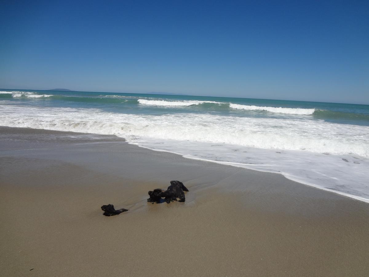 The Cliffs Seaside * Tuatapere